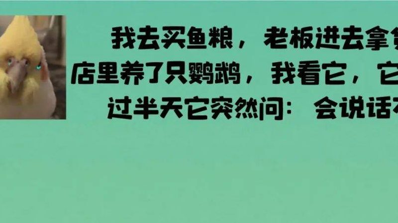 北京米面制品：探寻品质与传统的交融之道